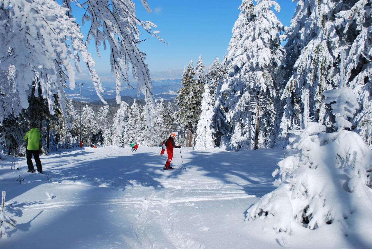 Chaletresort By S4Y Sankt Englmar Buitenkant foto